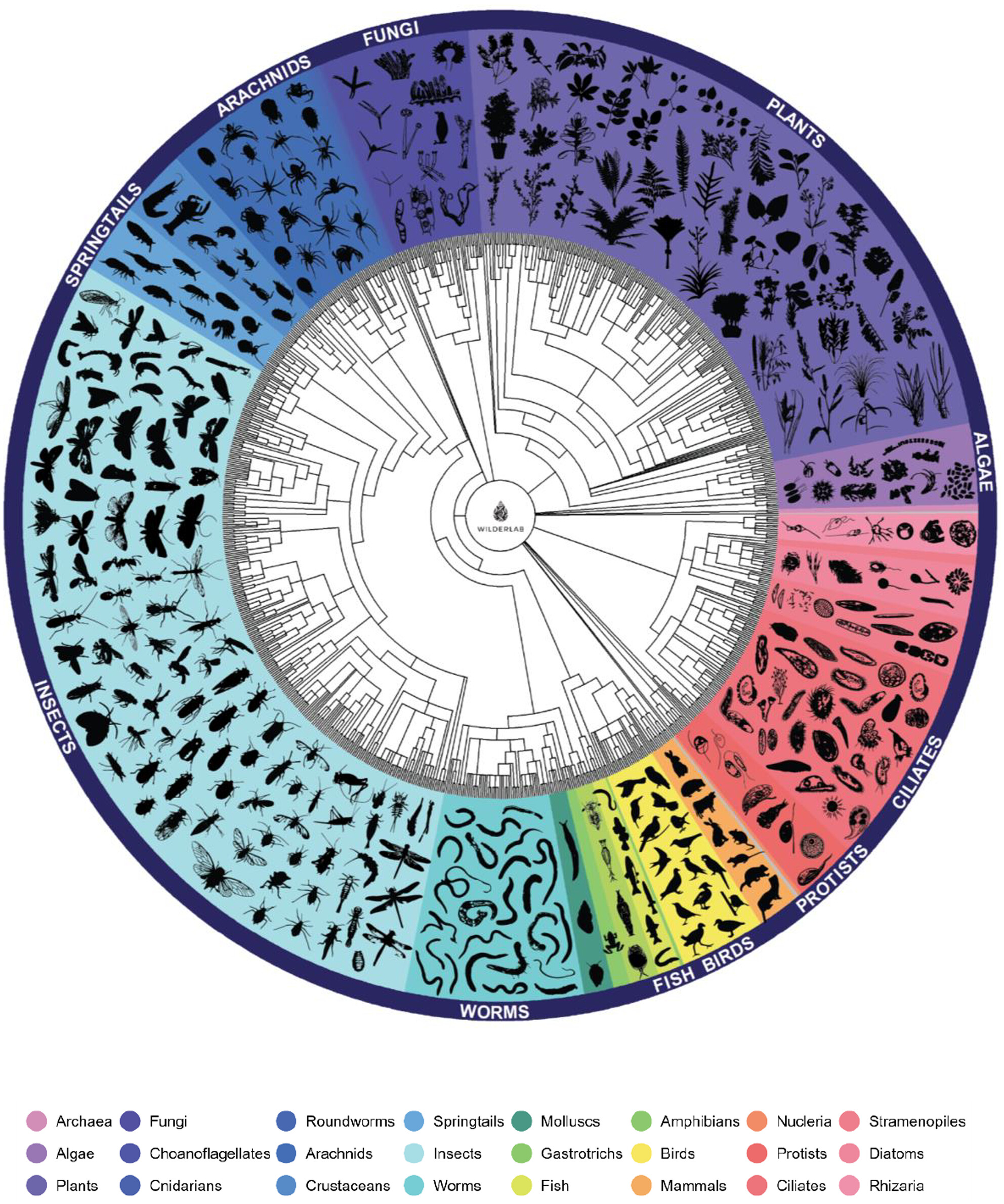 Promoting Community-Led Monitoring of Taonga (Treasured) Species and Freshwater Health Through eDNA Metabarcoding
