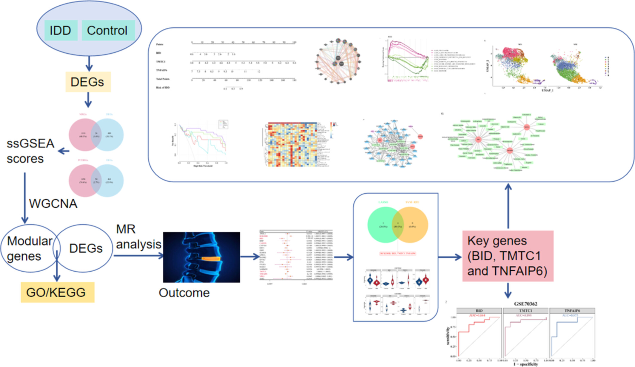 Transcriptome Data Combined With Mendelian Randomization Analysis Identifies Key Genes Associated With Mitochondria and Programmed Cell Death in Intervertebral Disc Degeneration