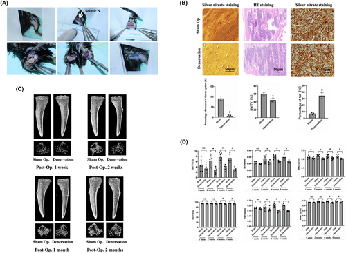 Details are in the caption following the image Details are in the caption following the image