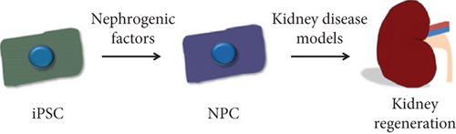 Details are in the caption following the image