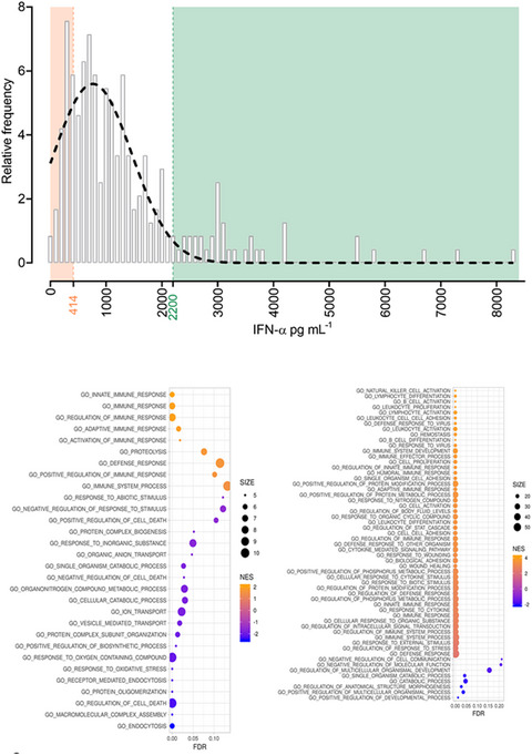Whole transcriptome analysis of high and low IFN-α producers reveals differential response patterns following rhinovirus stimulation