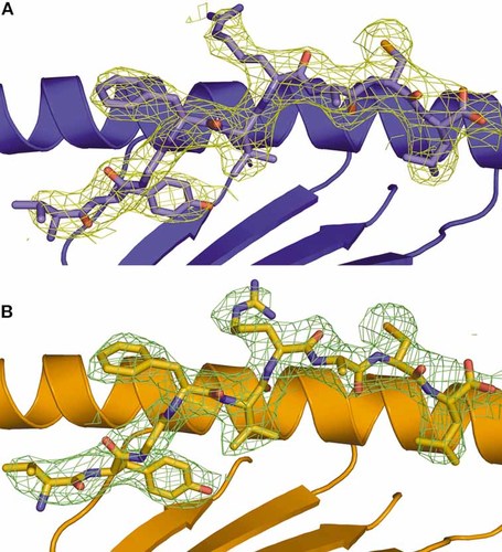 Details are in the caption following the image
