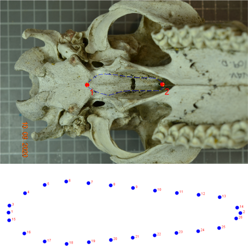 Details are in the caption following the image