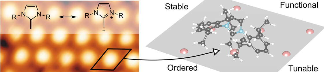 N-Heterocyclic Olefins on a Silicon Surface