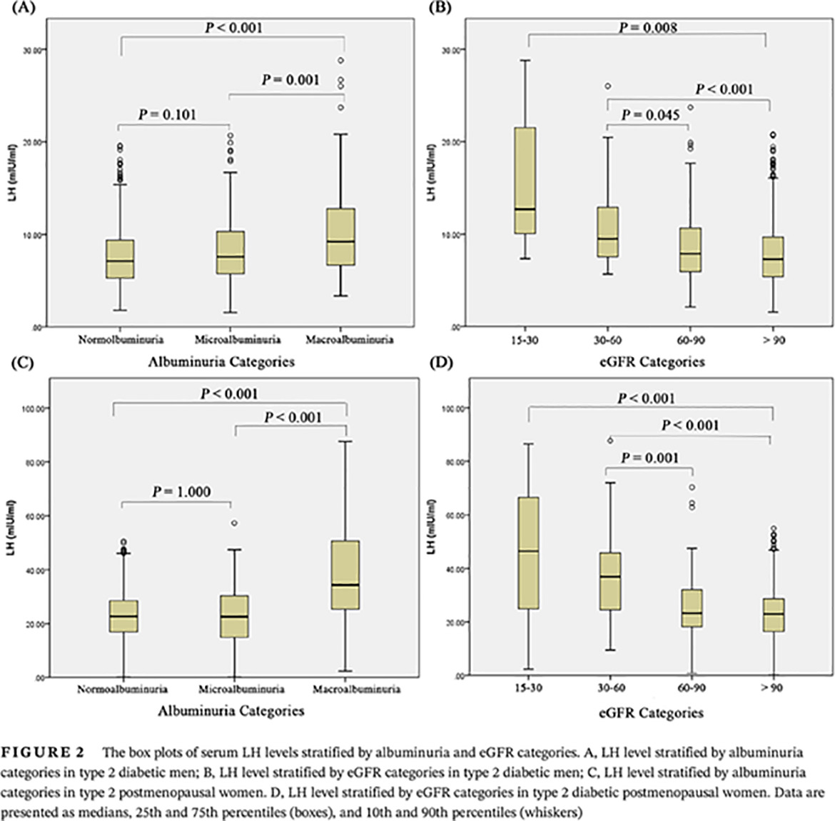 Elevated circulating luteinizing hormone levels are associated with diabetic macroalbuminuria in Chinese men and postmenopausal women: A cross-sectional study 2型糖尿病男性和绝经后女性患者黄体生成素水平与晚期糖尿病肾病的关系:一项横断面研究