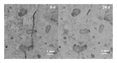 Details are in the caption following the image