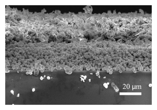 Details are in the caption following the image Details are in the caption following the image