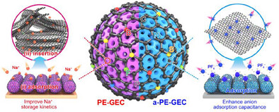 Orchestrating Penta-Element Interplay in Gradient-Porous Carbons for Advanced Sodium-Ion Hybrid Capacitors