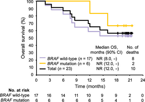 Efficacy and safety of nivolumab in Japanese patients with previously untreated advanced melanoma: A phase II study
