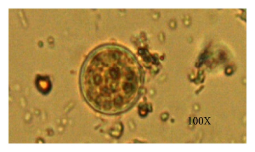 Details are in the caption following the image
