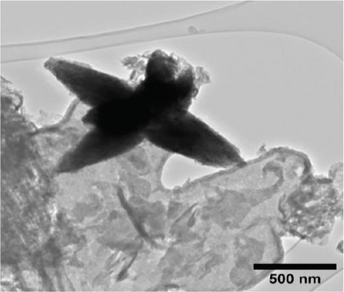 Details are in the caption following the image