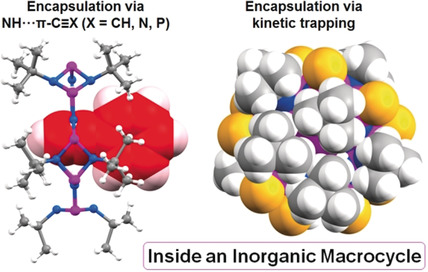 Guest Binding via N−H⋅⋅⋅π Bonding and Kinetic Entrapment by an Inorganic Macrocycle
