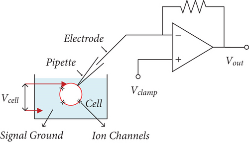 Details are in the caption following the image Details are in the caption following the image