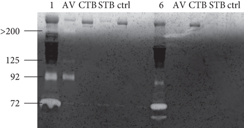 Details are in the caption following the image