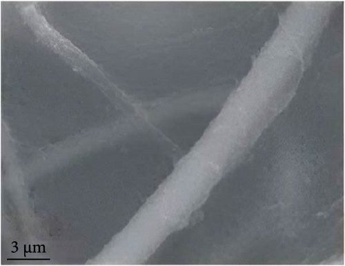 Details are in the caption following the image