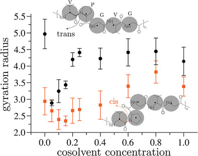 A Simple Generic Model of Elastin–Like Polypeptides with Proline Isomerization