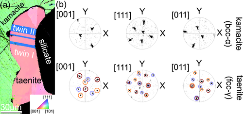 Details are in the caption following the image Details are in the caption following the image