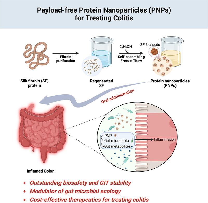 Payload-free protein nanoparticles target inflamed colons to restore intestinal barrier integrity for effectively treating inflammatory bowel diseases Issue 4, 2024