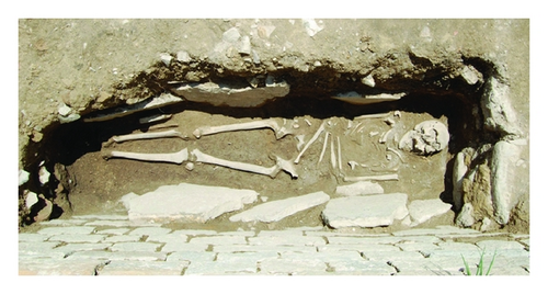 Details are in the caption following the image Details are in the caption following the image