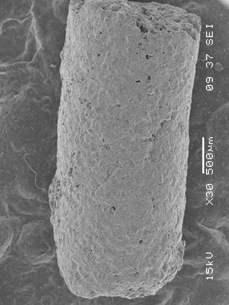 Messung und thermodynamische Bewertung von VOC- und Wasser-Adsorptionsisothermen an granulierten Aktivkohlen Measurement and Thermodynamic Evaluation of VOC and Water Adsorption Equilibria onto Granulated Activated Carbon