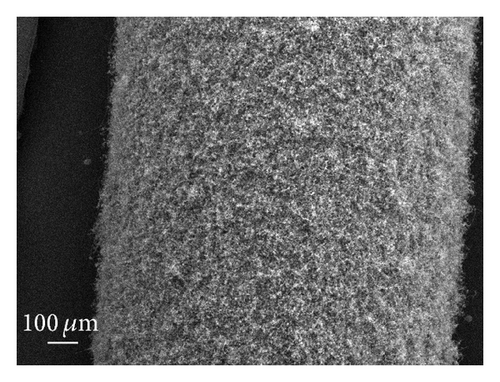 Details are in the caption following the image
