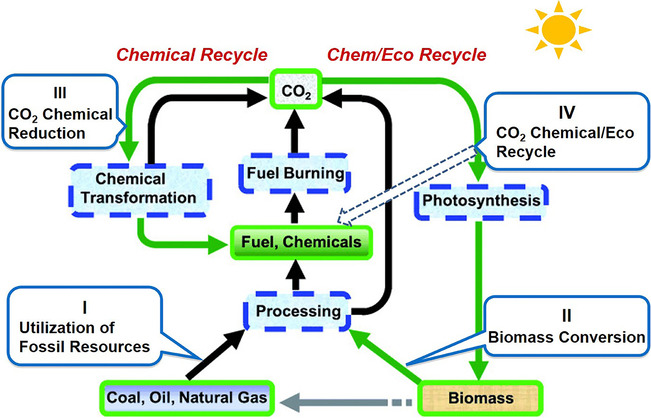 Green Carbon Science: Keeping the Pace in Practice