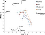 Herbicide application as a habitat restoration tool: impact on native island plant communities