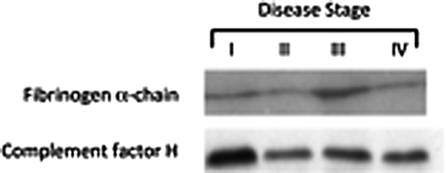 Details are in the caption following the image