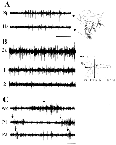 Details are in the caption following the image Details are in the caption following the image