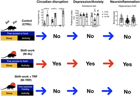 Time-restricted feeding prevents depressive-like and anxiety-like behaviors in male rats exposed to an experimental model of shift-work