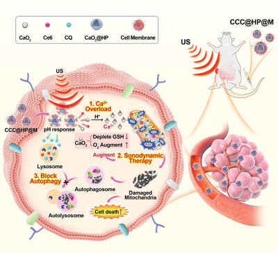 Biomimetic Nanoplatform-Mediated Protective Autophagy Blockage Enhancing Sonodynamic and Ca2+-Overload Combined Therapy for Colon Cancer
