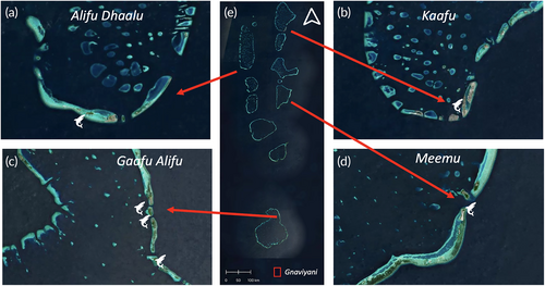 Details are in the caption following the image Details are in the caption following the image