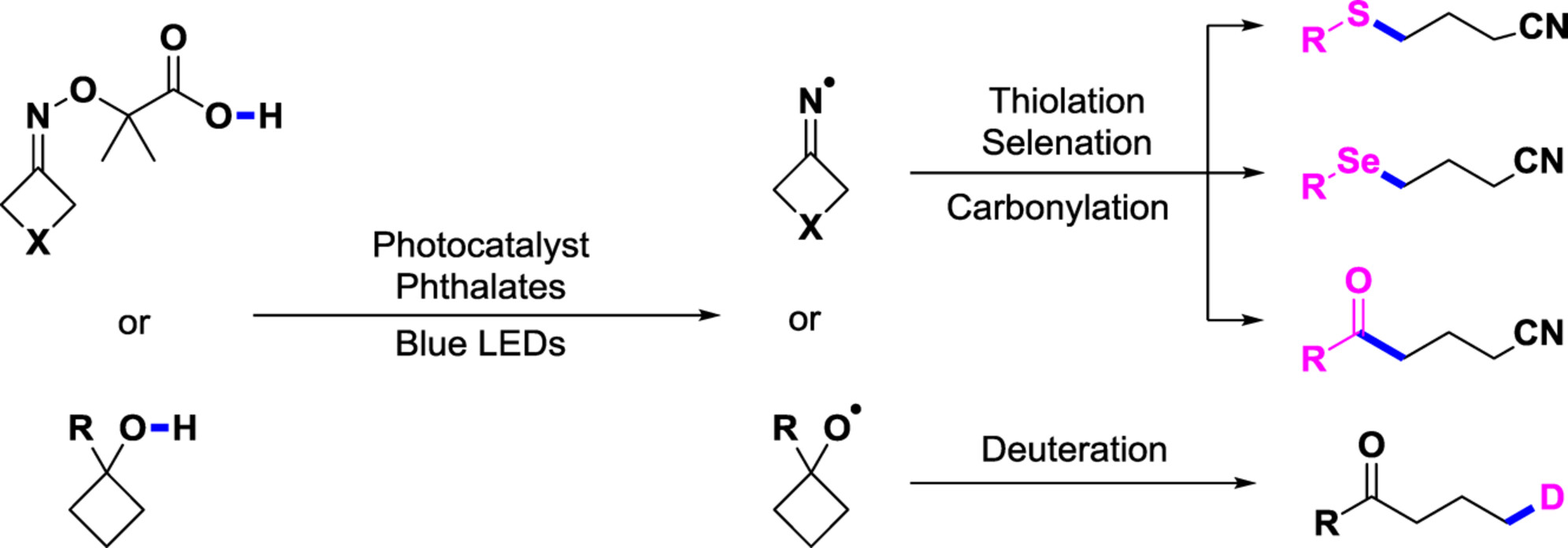 Photoinduced Ring-Opening Functionalization of α-Imino-Oxy Acids and Alkanols Enabled by Phthalate-Derived Proton-Coupled Electron Transfer Mediator