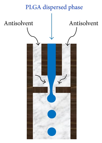 Details are in the caption following the image