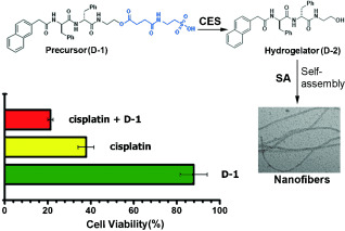 Enzyme-Instructed Intracellular Molecular Self-Assembly to Boost Activity of Cisplatin against Drug-Resistant Ovarian Cancer Cells
