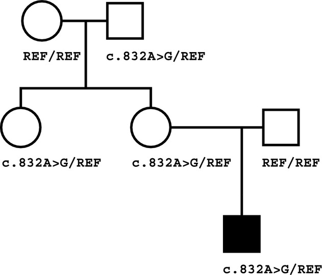 Diagnosis of an imprinted-gene syndrome by a novel bioinformatics analysis of whole-genome sequences from a family trio