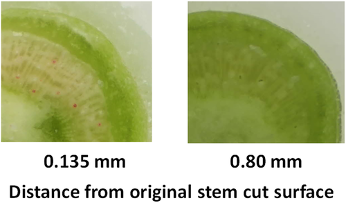 Details are in the caption following the image