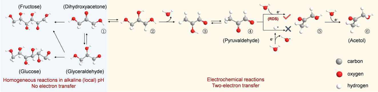 Electrokinetic Analyses Uncover the Rate-Determining Step of Biomass-Derived Monosaccharide Electroreduction on Copper