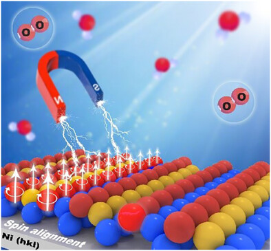 Ferromagnetic Ordering Outperforms Coordination Effects in Governing Oxygen Reduction Catalysis on High-Index Nickel Single Crystals