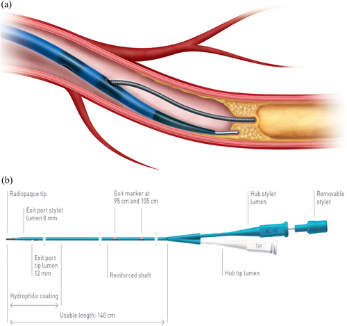 Details are in the caption following the image Details are in the caption following the image