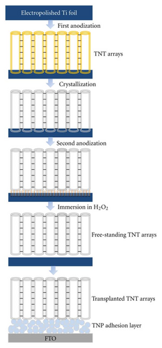 Details are in the caption following the image Details are in the caption following the image