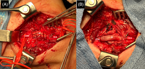 Details are in the caption following the image Details are in the caption following the image