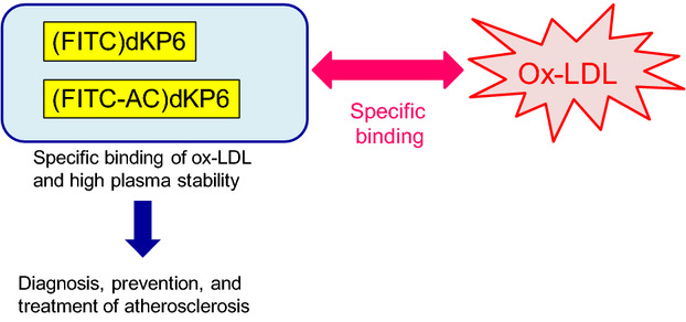 Highly Stable, Fluorescence-Labeled Heptapeptides Substituted with a D-Amino Acid for the Specific Detection of Oxidized Low-Density Lipoprotein in Plasma