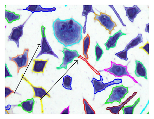 Details are in the caption following the image