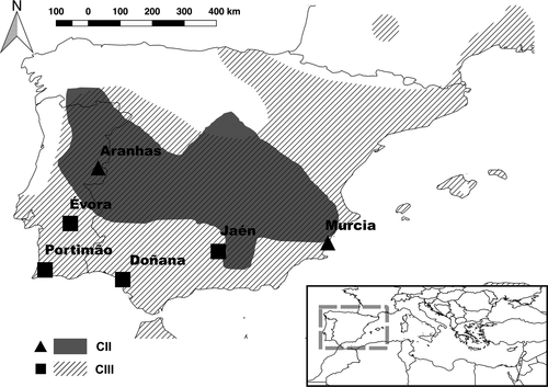 Details are in the caption following the image