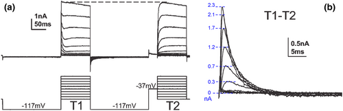 Details are in the caption following the image Details are in the caption following the image