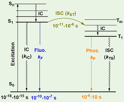 Details are in the caption following the image Details are in the caption following the image