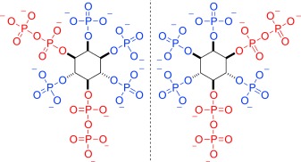 Synthesis of Densely Phosphorylated Bis-1,5-Diphospho-myo-Inositol Tetrakisphosphate and its Enantiomer by Bidirectional P-Anhydride Formation
