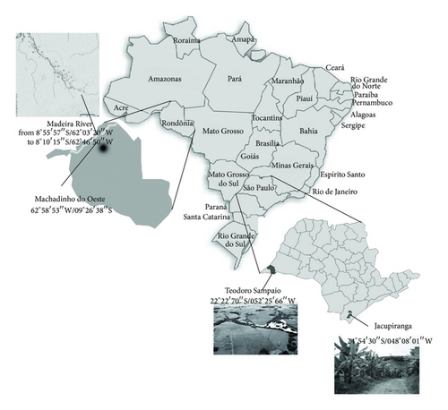 Details are in the caption following the image Details are in the caption following the image