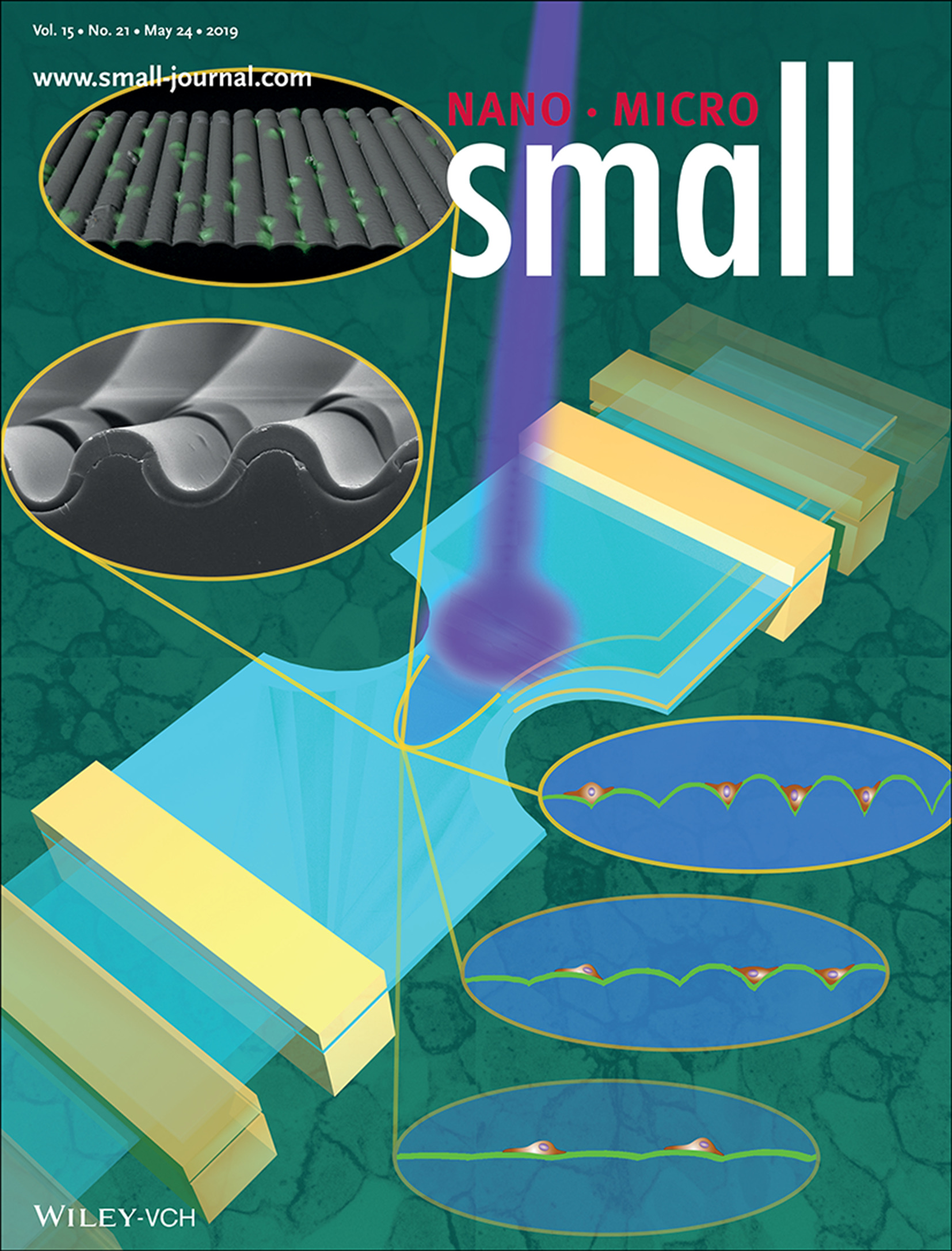 Cells at Wrinkled Interfaces: Laser-Assisted Strain Engineering of Thin Elastomer Films to Form Variable Wavy Substrates for Cell Culture (Small 21/2019) Volume 15 Issue 21, 2019